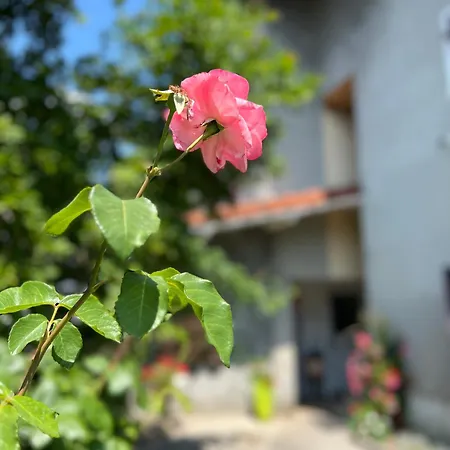 Ferienwohnung La Branche Du Cerisier Annecy Exterior foto