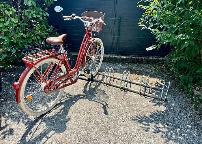 La Branche Du Cerisier